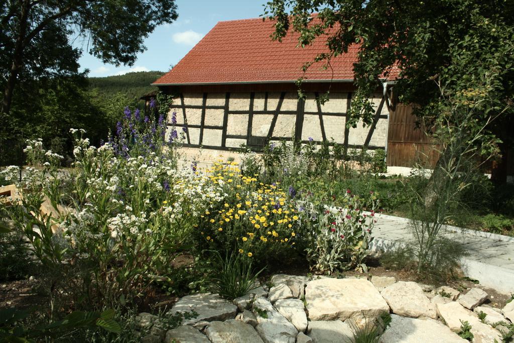 플라우에 Cafe Landart Im Thueringer Finistere 아파트 객실 사진