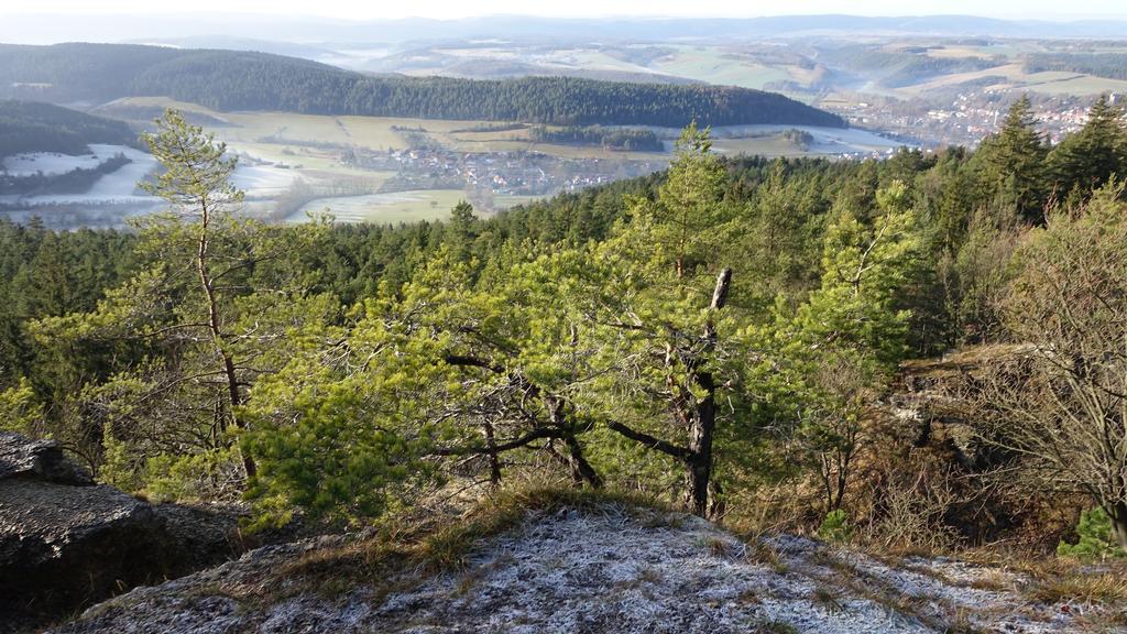 플라우에 Cafe Landart Im Thueringer Finistere 아파트 외부 사진