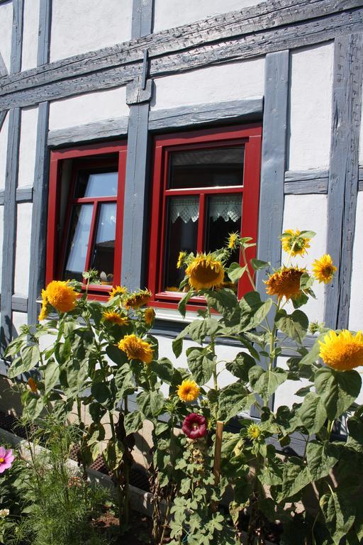 플라우에 Cafe Landart Im Thueringer Finistere 아파트 외부 사진